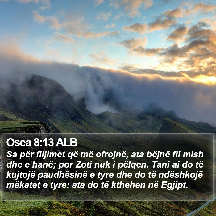 Osea 8:13 ALB Bible Study