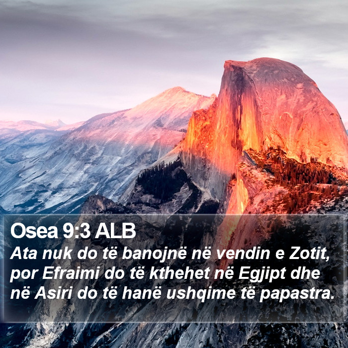 Osea 9:3 ALB Bible Study