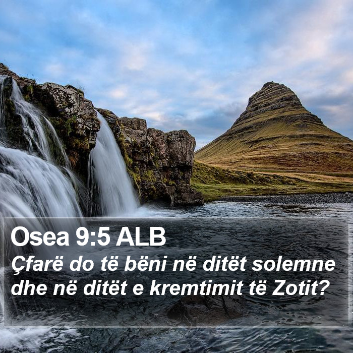 Osea 9:5 ALB Bible Study