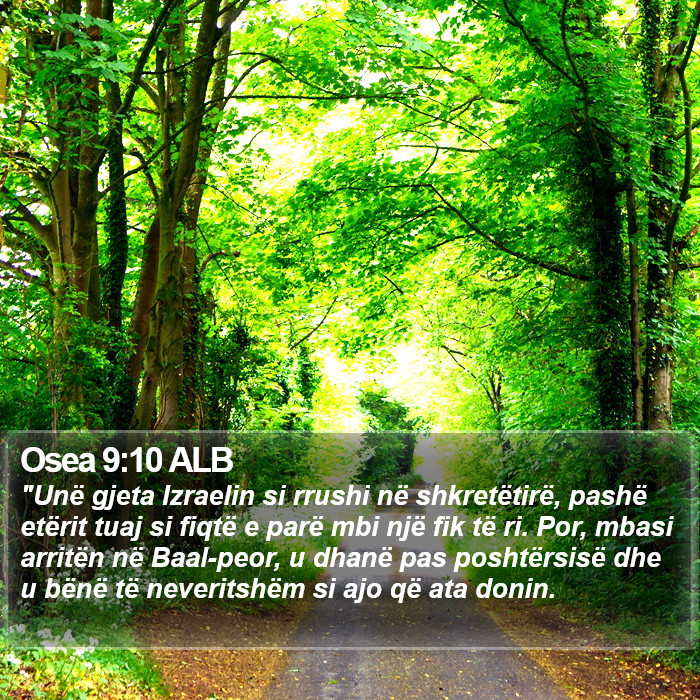 Osea 9:10 ALB Bible Study