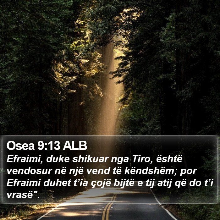 Osea 9:13 ALB Bible Study