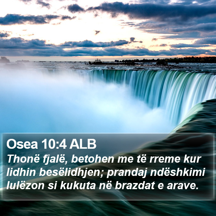 Osea 10:4 ALB Bible Study