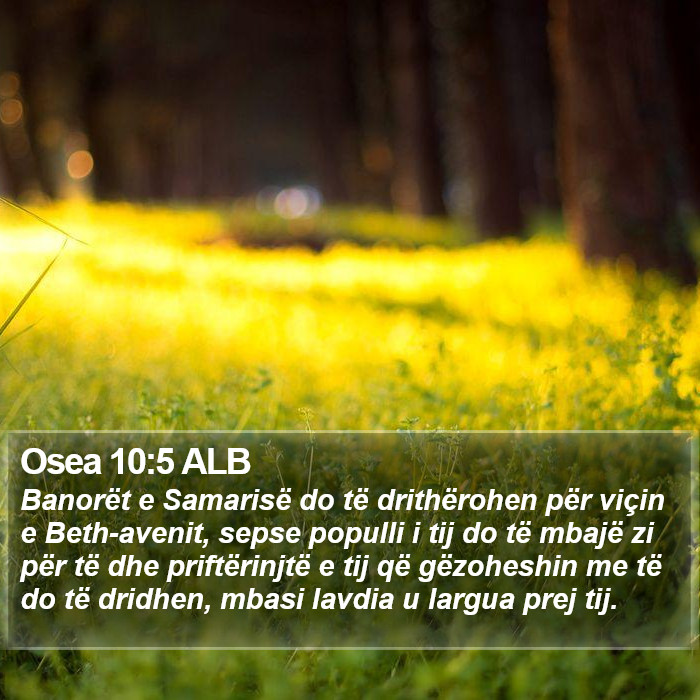 Osea 10:5 ALB Bible Study
