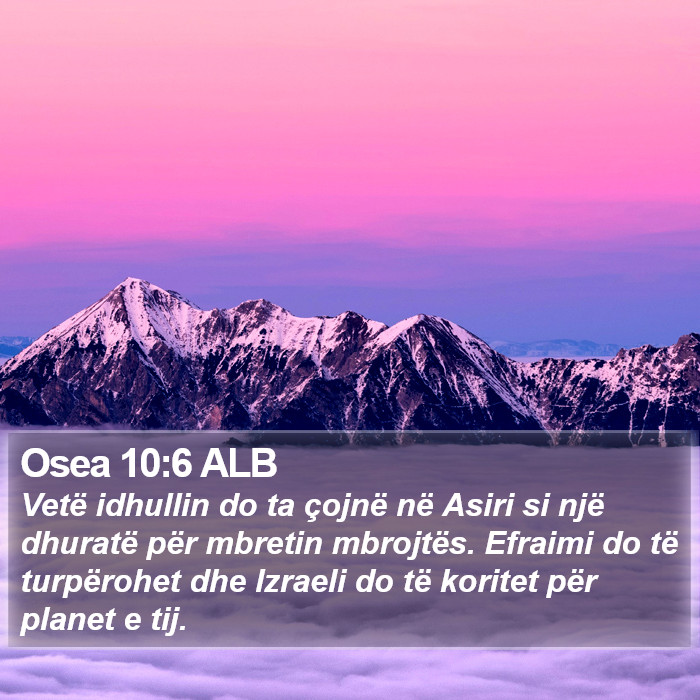 Osea 10:6 ALB Bible Study