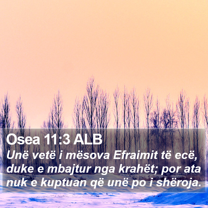 Osea 11:3 ALB Bible Study