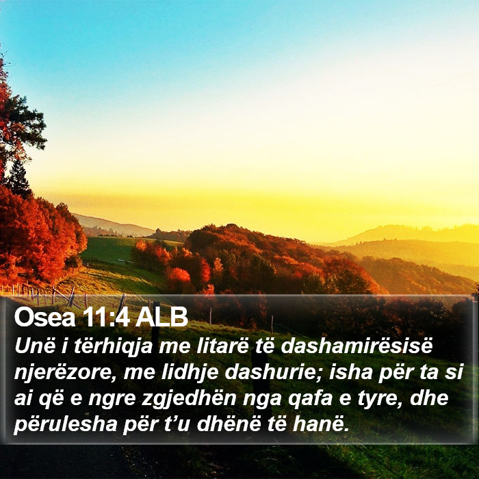 Osea 11:4 ALB Bible Study