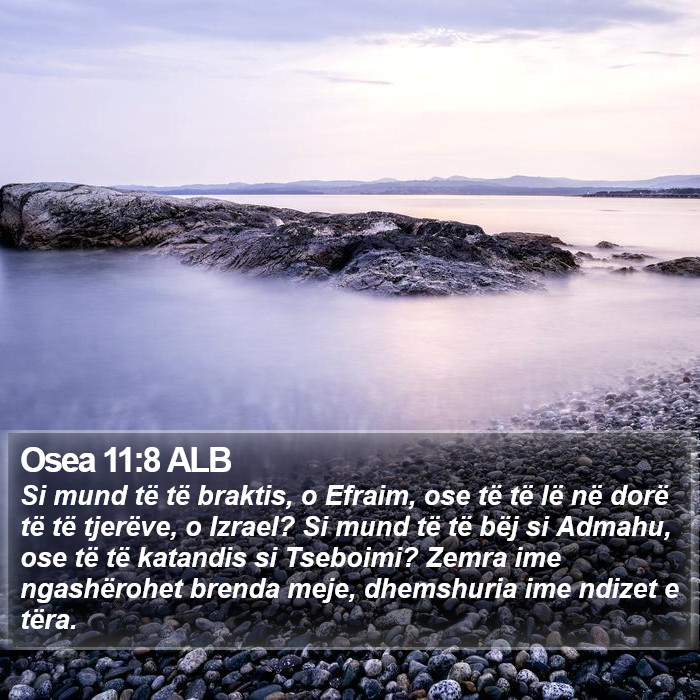 Osea 11:8 ALB Bible Study