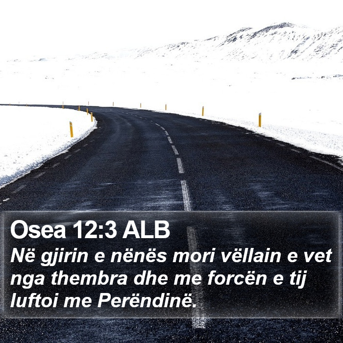 Osea 12:3 ALB Bible Study