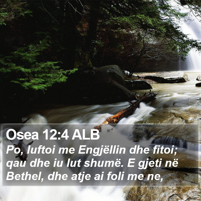 Osea 12:4 ALB Bible Study