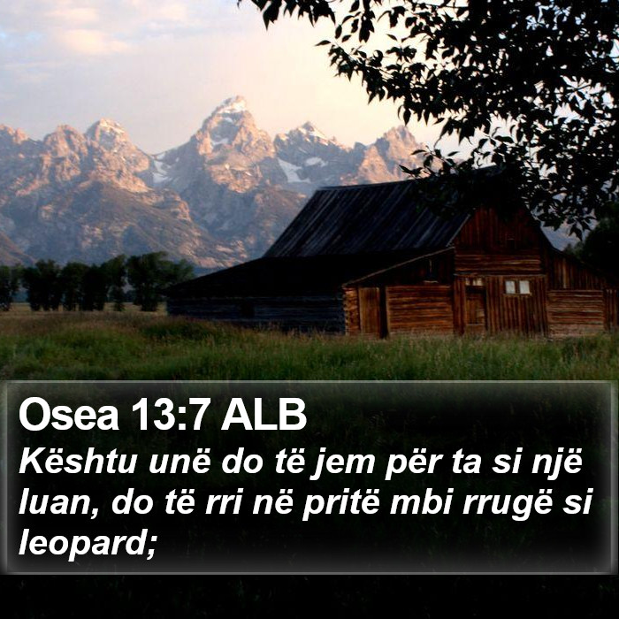 Osea 13:7 ALB Bible Study