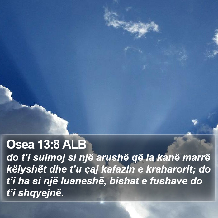 Osea 13:8 ALB Bible Study