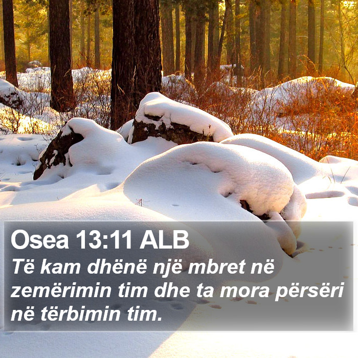 Osea 13:11 ALB Bible Study