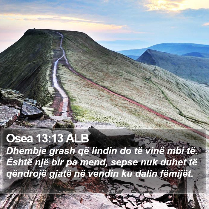 Osea 13:13 ALB Bible Study