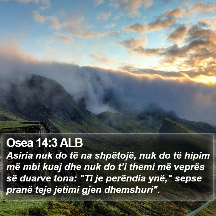 Osea 14:3 ALB Bible Study