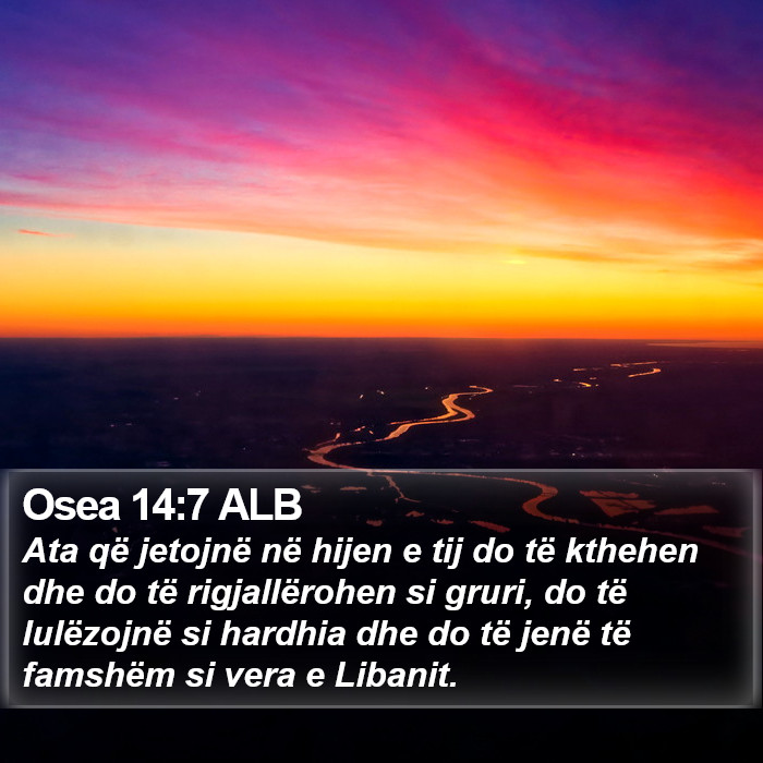 Osea 14:7 ALB Bible Study