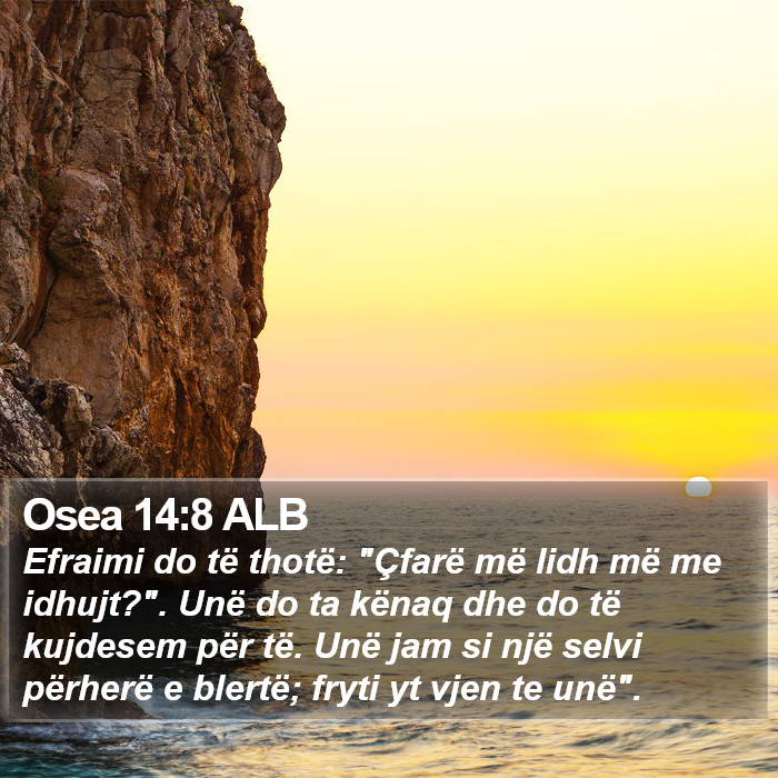 Osea 14:8 ALB Bible Study