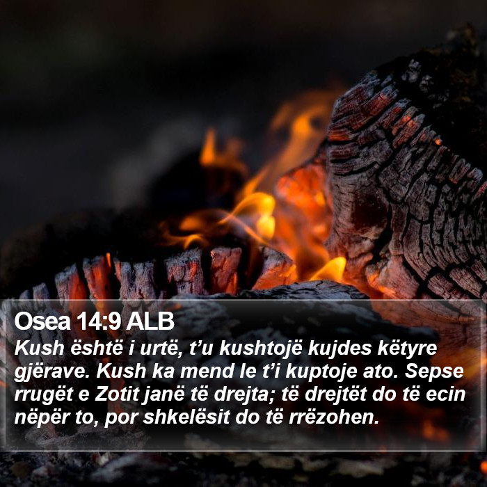 Osea 14:9 ALB Bible Study