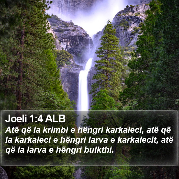 Joeli 1:4 ALB Bible Study