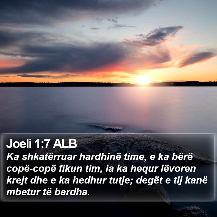 Joeli 1:7 ALB Bible Study