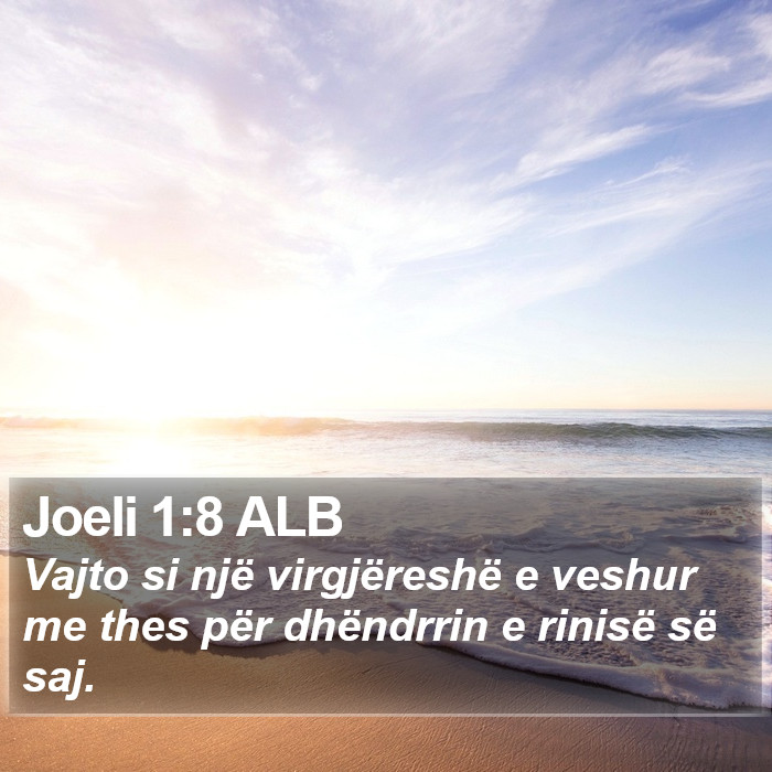 Joeli 1:8 ALB Bible Study