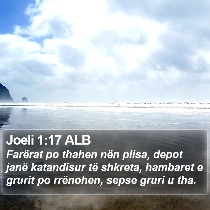 Joeli 1:17 ALB Bible Study