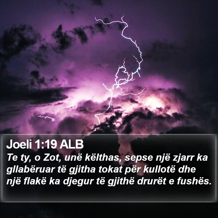 Joeli 1:19 ALB Bible Study