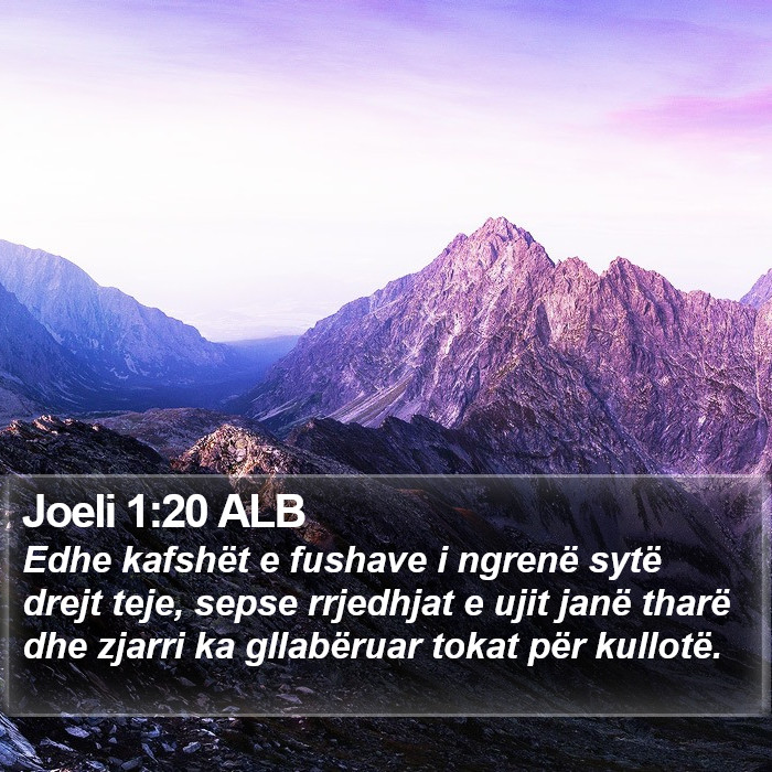 Joeli 1:20 ALB Bible Study