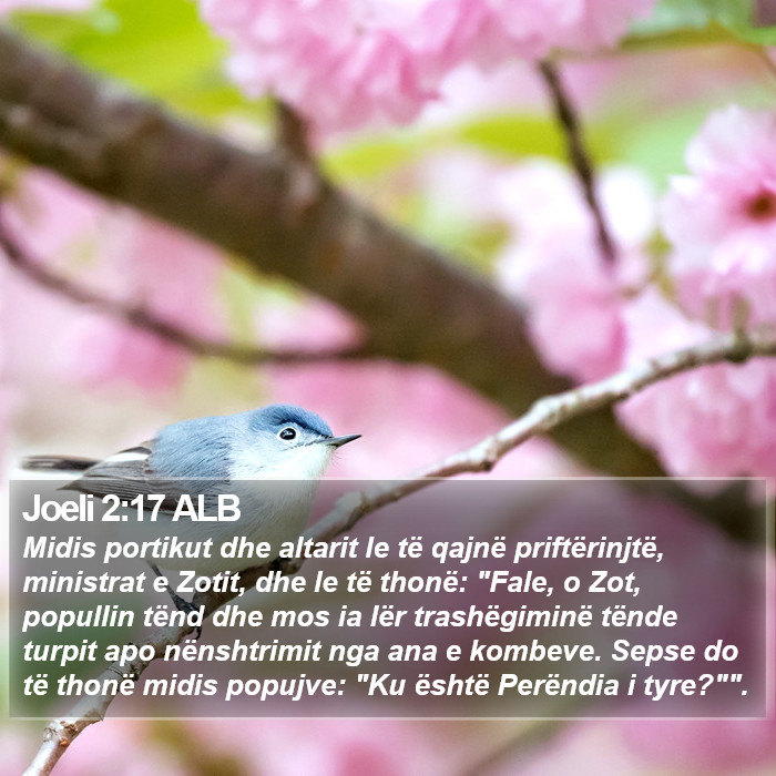 Joeli 2:17 ALB Bible Study