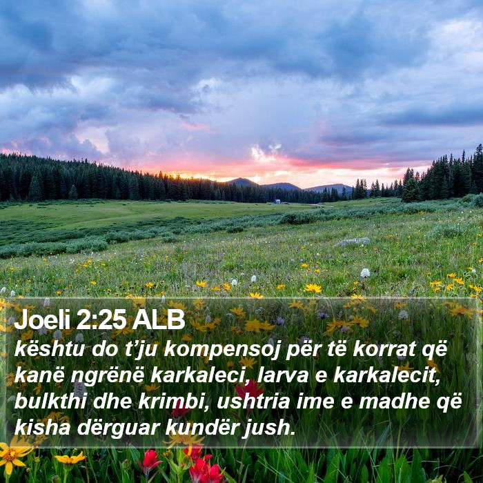 Joeli 2:25 ALB Bible Study