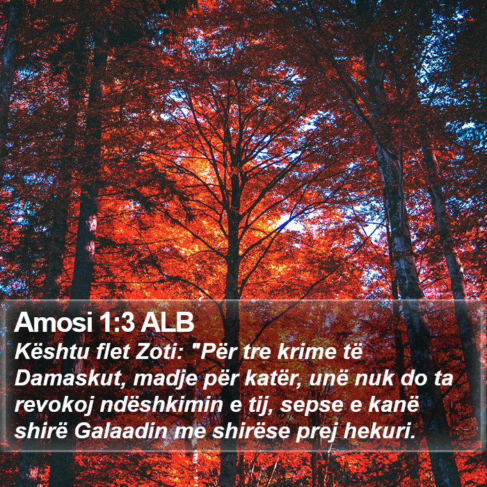 Amosi 1:3 ALB Bible Study