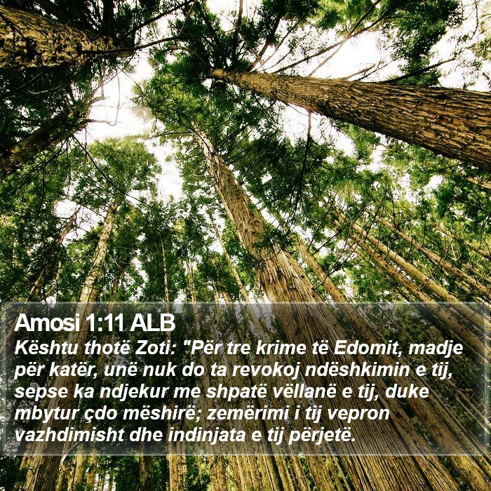 Amosi 1:11 ALB Bible Study