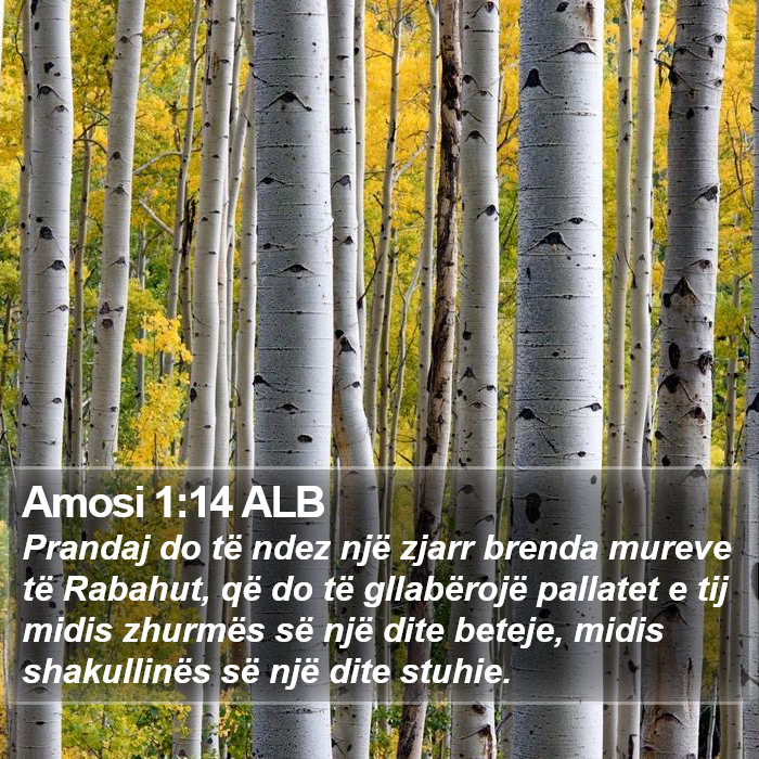 Amosi 1:14 ALB Bible Study