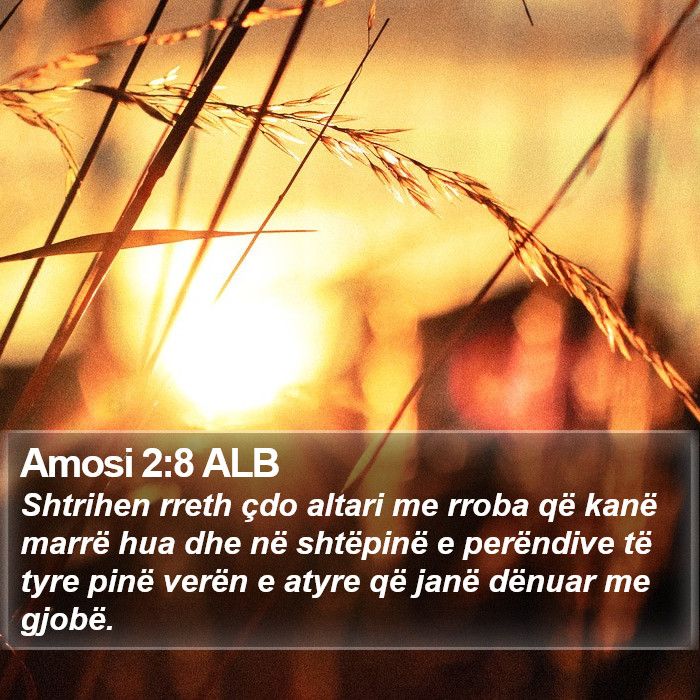 Amosi 2:8 ALB Bible Study