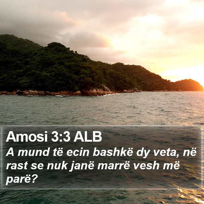 Amosi 3:3 ALB Bible Study