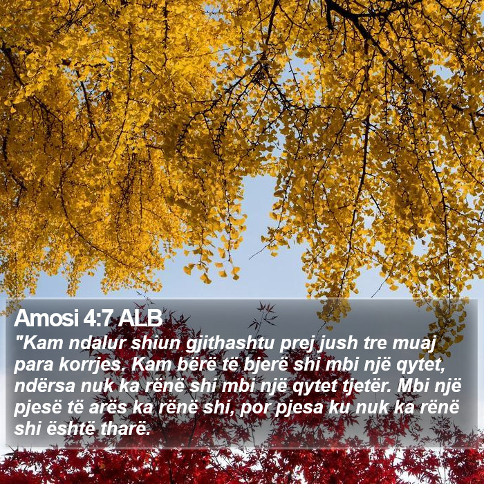 Amosi 4:7 ALB Bible Study