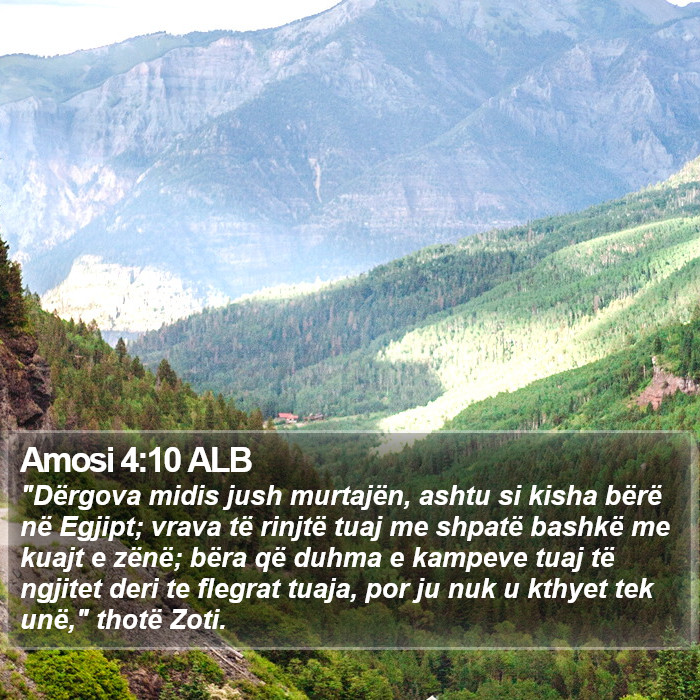Amosi 4:10 ALB Bible Study