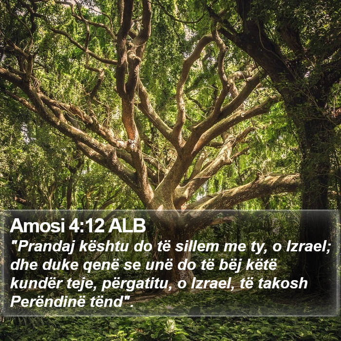Amosi 4:12 ALB Bible Study