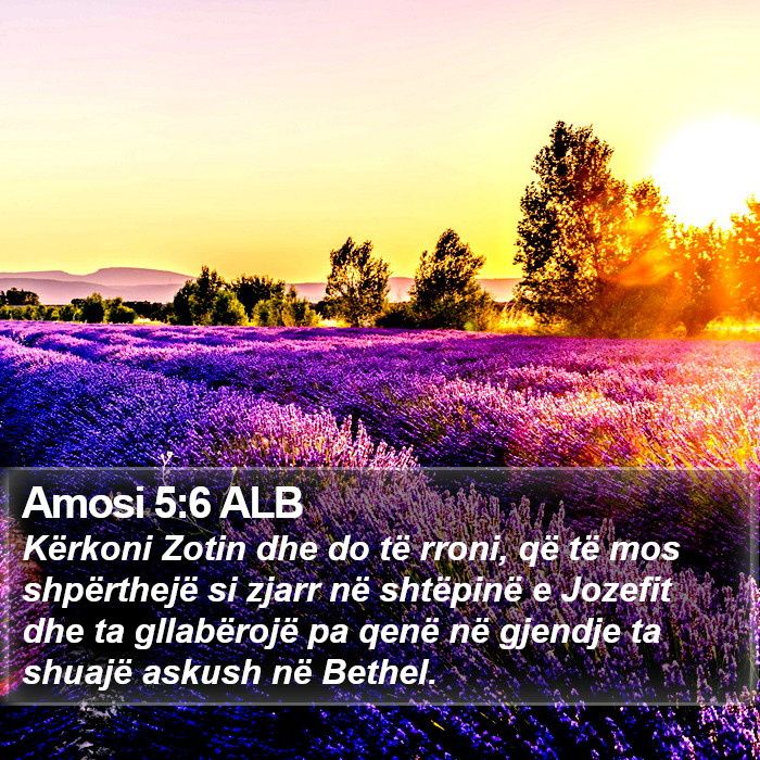 Amosi 5:6 ALB Bible Study