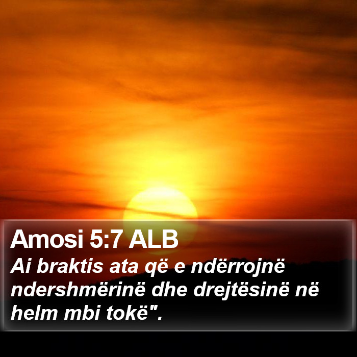 Amosi 5:7 ALB Bible Study