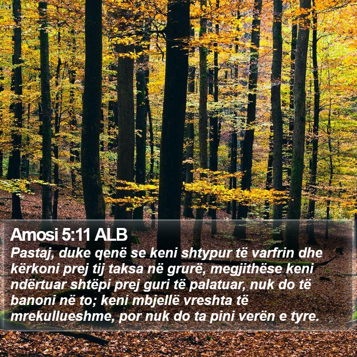 Amosi 5:11 ALB Bible Study
