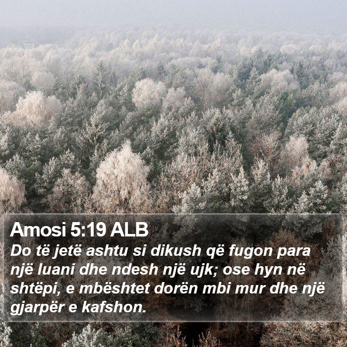 Amosi 5:19 ALB Bible Study