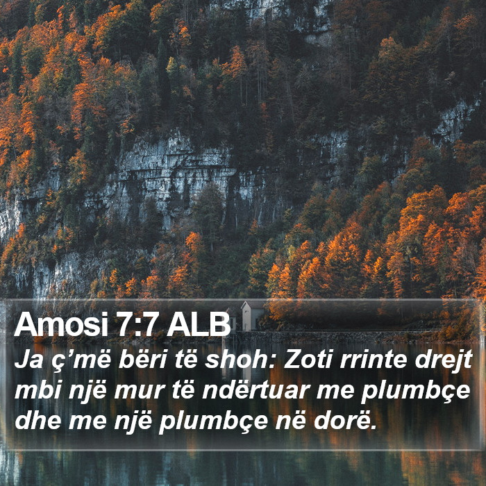 Amosi 7:7 ALB Bible Study