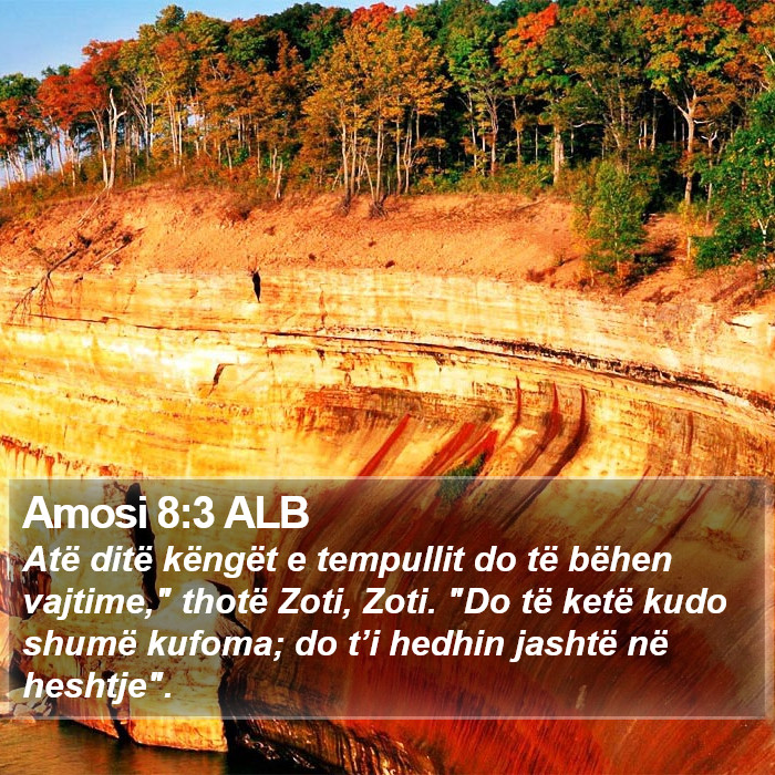 Amosi 8:3 ALB Bible Study