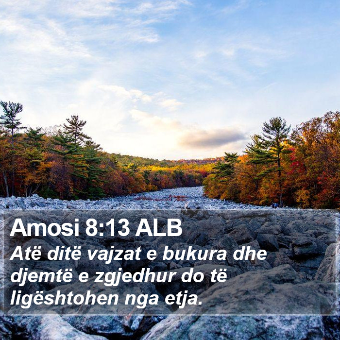 Amosi 8:13 ALB Bible Study