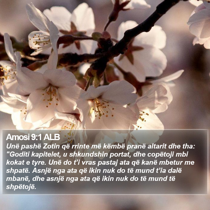 Amosi 9:1 ALB Bible Study