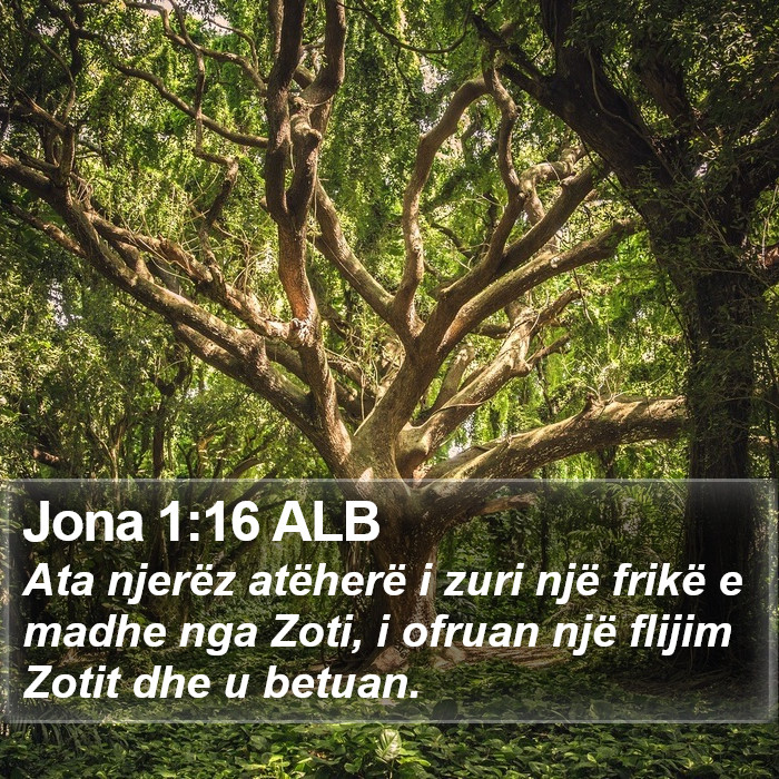 Jona 1:16 ALB Bible Study