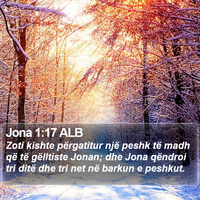 Jona 1:17 ALB Bible Study