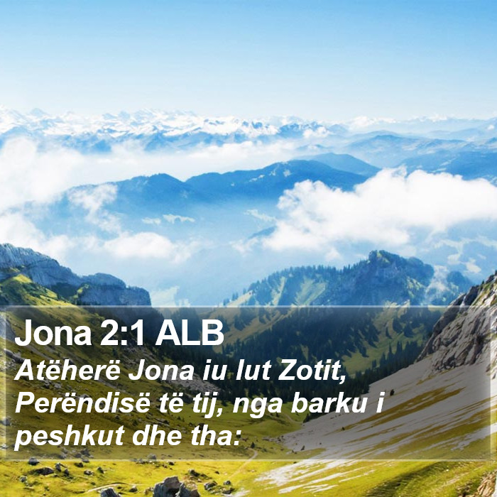 Jona 2:1 ALB Bible Study