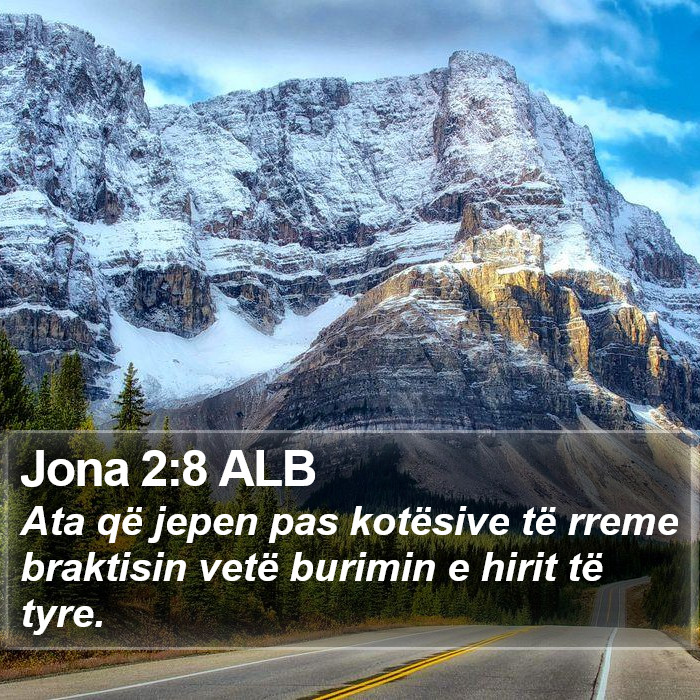 Jona 2:8 ALB Bible Study