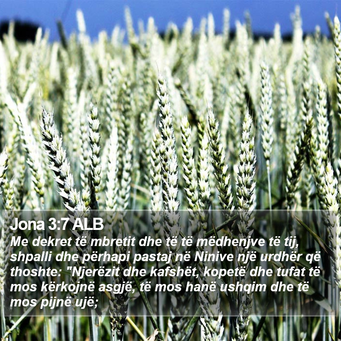 Jona 3:7 ALB Bible Study